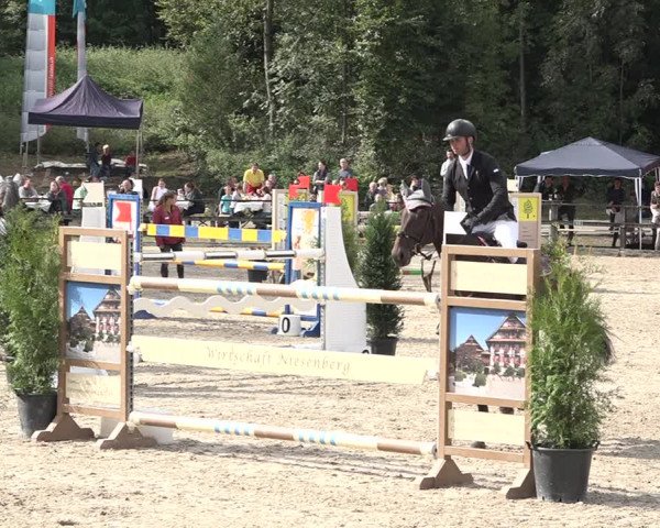 Reitturnier Sins 2018
