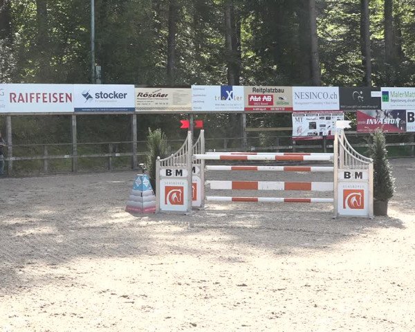 Reitturnier Sins 2018