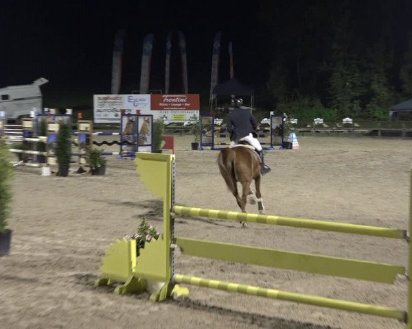 Reitturnier Sins 2018