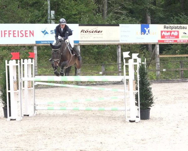 Reitturnier Sins 2018