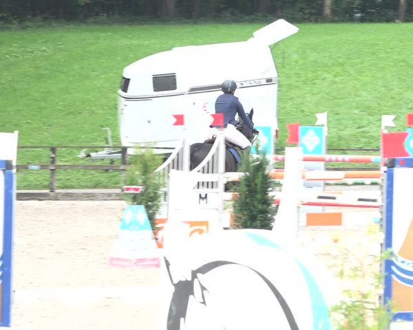 Reitturnier Sins 2018