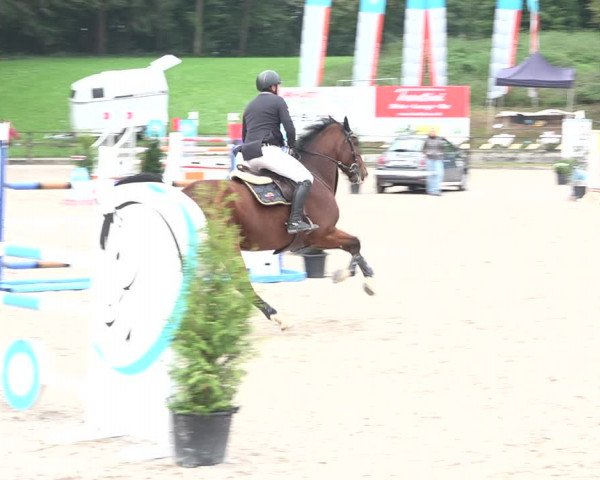 Reitturnier Sins 2018