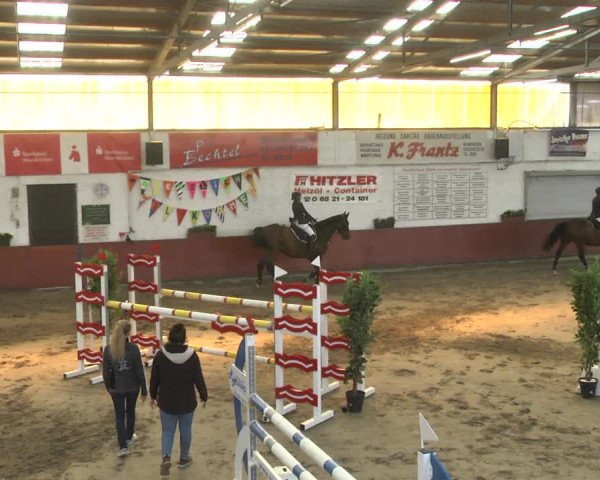Reitturnier Neunkirchen-Furpach 2018