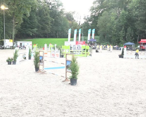 Reitturnier Sins 2018