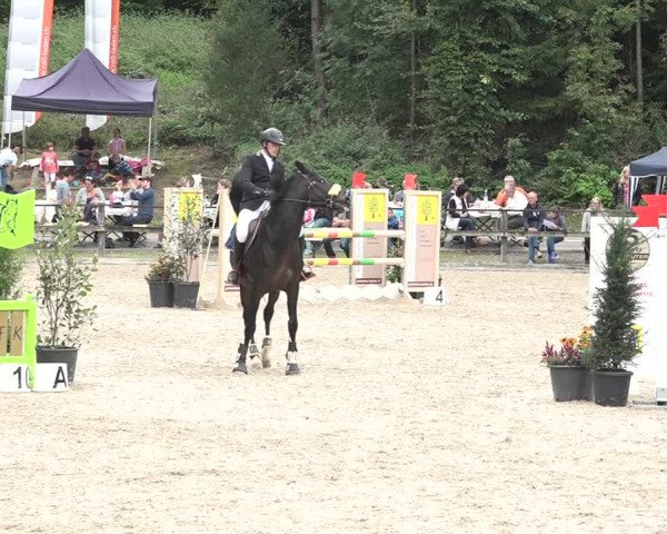 Reitturnier Sins 2018