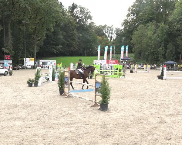 Reitturnier Sins 2018