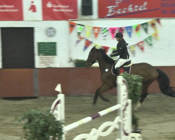 Reitturnier Neunkirchen-Furpach 2018