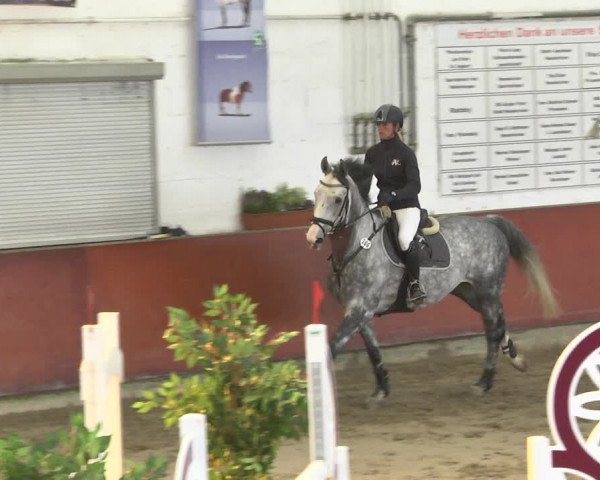 Reitturnier Neunkirchen-Furpach 2018