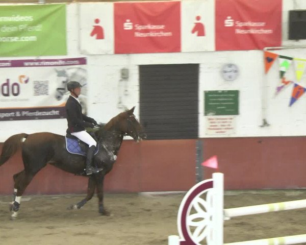 Reitturnier Neunkirchen-Furpach 2018