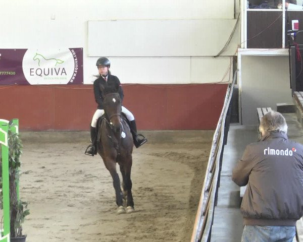Reitturnier Neunkirchen-Furpach 2018