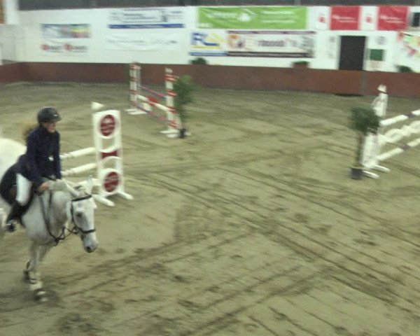 Reitturnier Neunkirchen-Furpach 2018