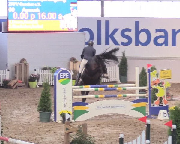 Reitturnier Gronau-Epe 2018