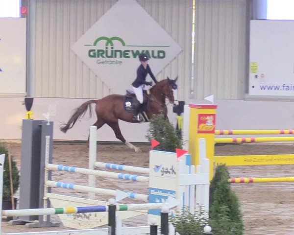 Reitturnier Gronau-Epe 2018