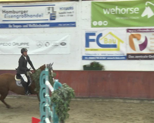 Reitturnier Neunkirchen-Furpach 2018