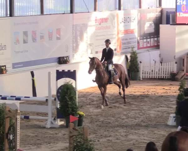 Reitturnier Gronau-Epe 2018