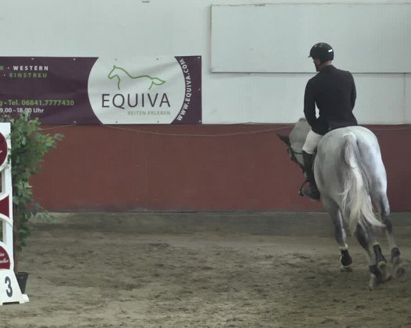 Reitturnier Neunkirchen-Furpach 2018