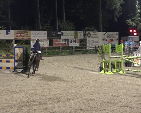 Reitturnier Sins 2018