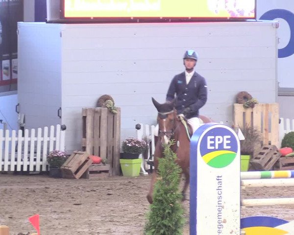 Reitturnier Gronau-Epe 2018