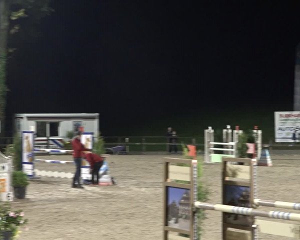 Reitturnier Sins 2018