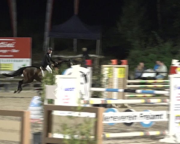 Reitturnier Sins 2018