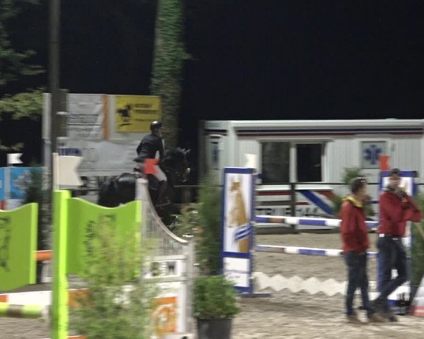 Reitturnier Sins 2018