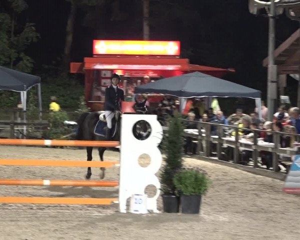 Reitturnier Sins 2018