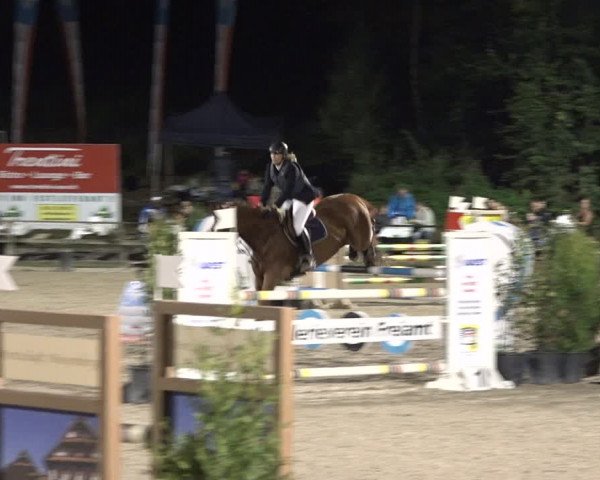 Reitturnier Sins 2018