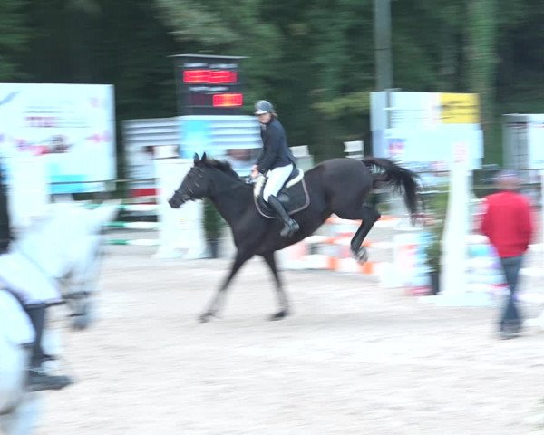 Reitturnier Sins 2018