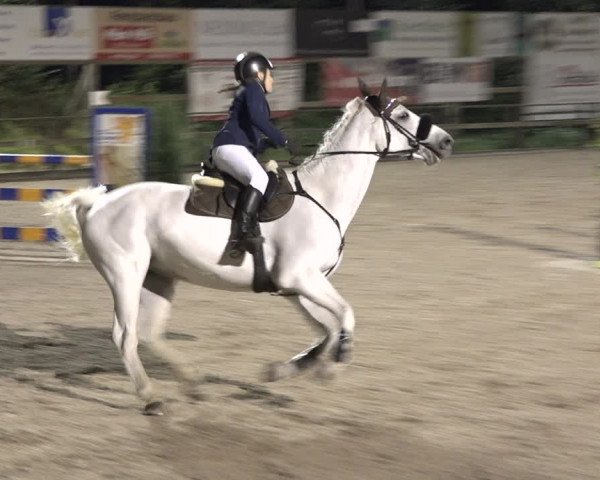 Reitturnier Sins 2018
