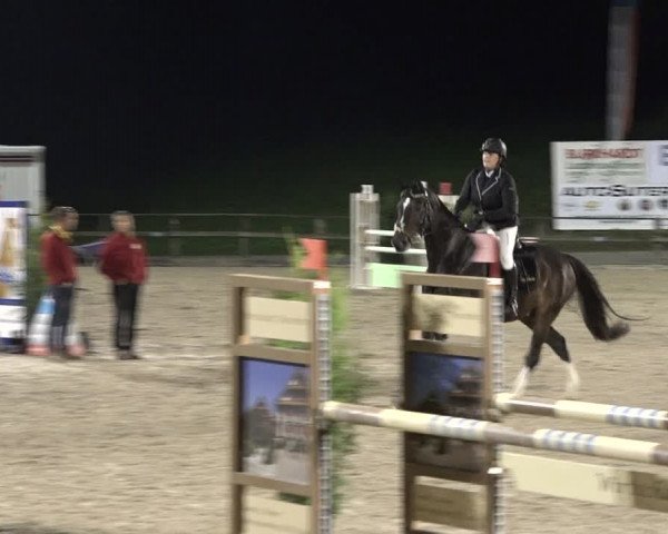 Reitturnier Sins 2018