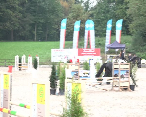 Reitturnier Sins 2018
