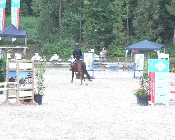 Reitturnier Sins 2018