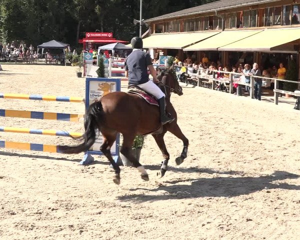 Reitturnier Sins 2018