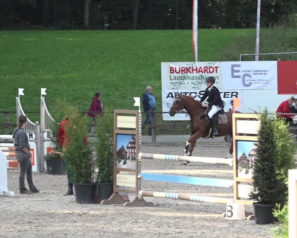 Reitturnier Sins 2018