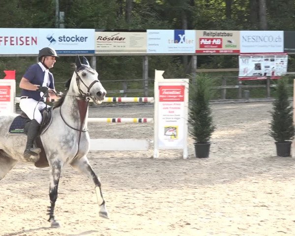 Reitturnier Sins 2018
