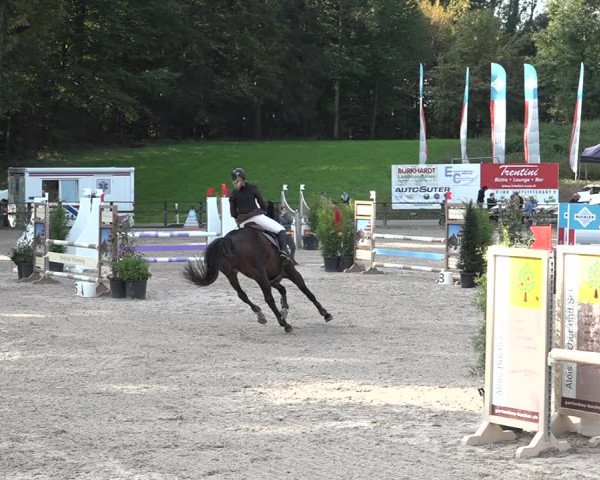 Reitturnier Sins 2018