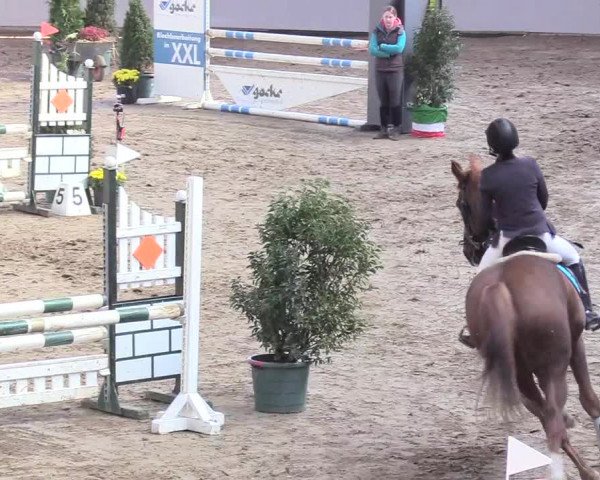 Reitturnier Gronau-Epe 2018