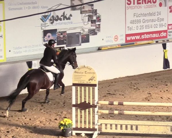 Reitturnier Gronau-Epe 2018