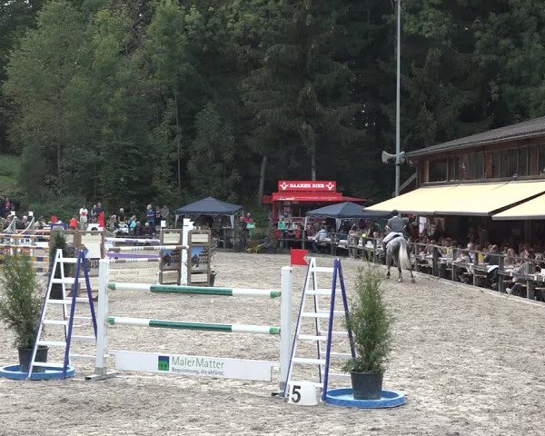 Reitturnier Sins 2018