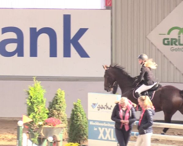 Reitturnier Gronau-Epe 2018