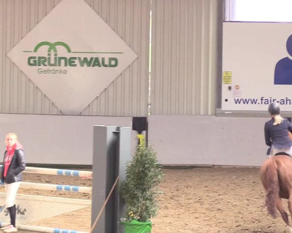 Reitturnier Gronau-Epe 2018