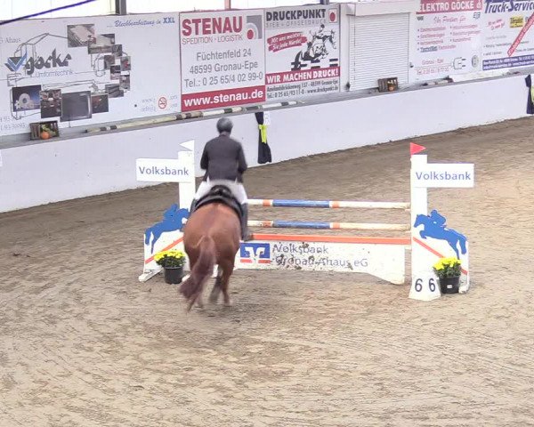 Reitturnier Gronau-Epe 2018