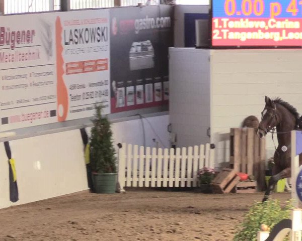 Reitturnier Gronau-Epe 2018