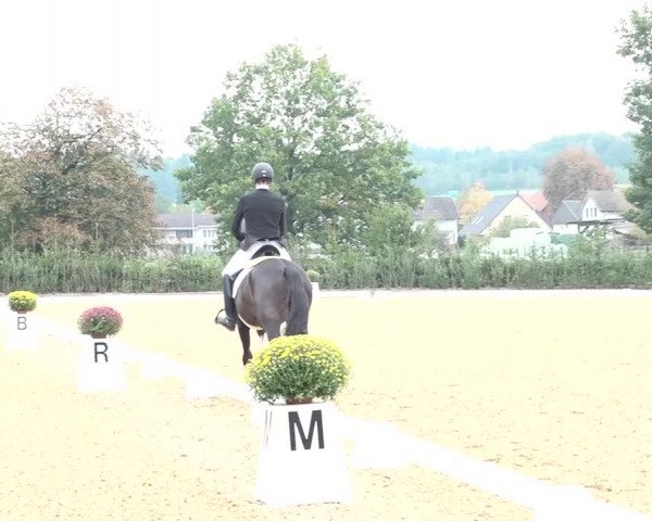 Reitturnier Deitingen 2018