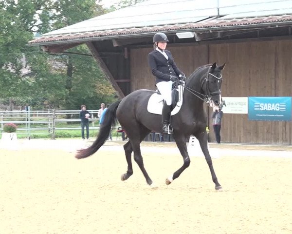 Reitturnier Deitingen 2018