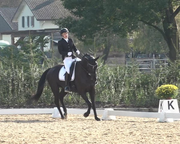 Reitturnier Deitingen 2018