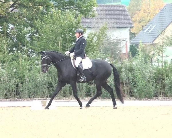 Reitturnier Deitingen 2018