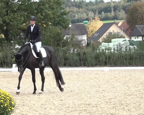 Reitturnier Deitingen 2018