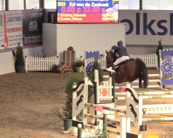 Reitturnier Gronau-Epe 2018