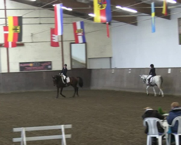 Reitturnier St. Peter Ording 2018
